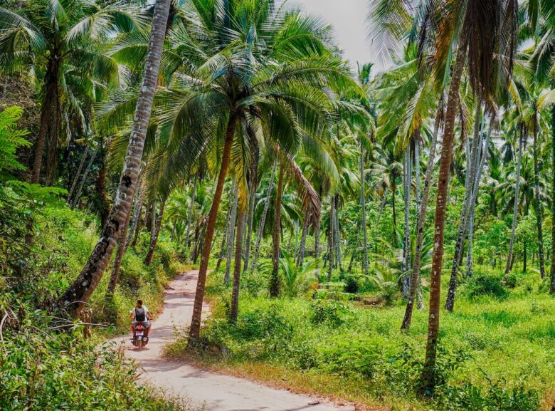 Alquilar moto en Koh Kood