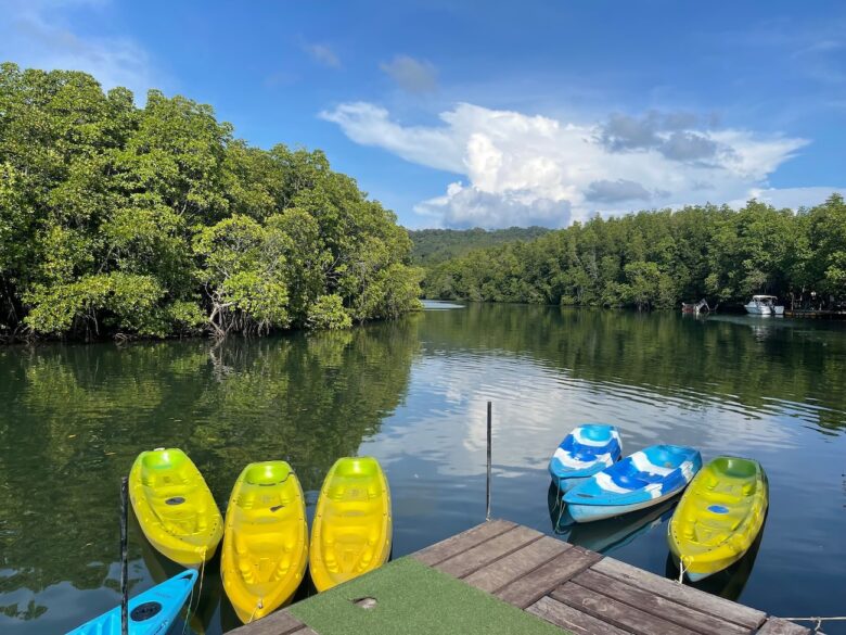 Kayak manglares Koh Kood