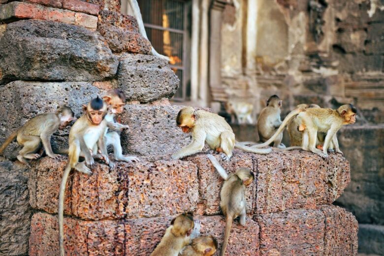 Lopburi